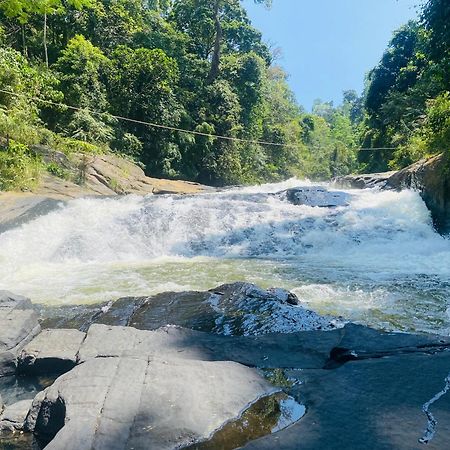 The Rainforest Hideaway Деніяя Екстер'єр фото