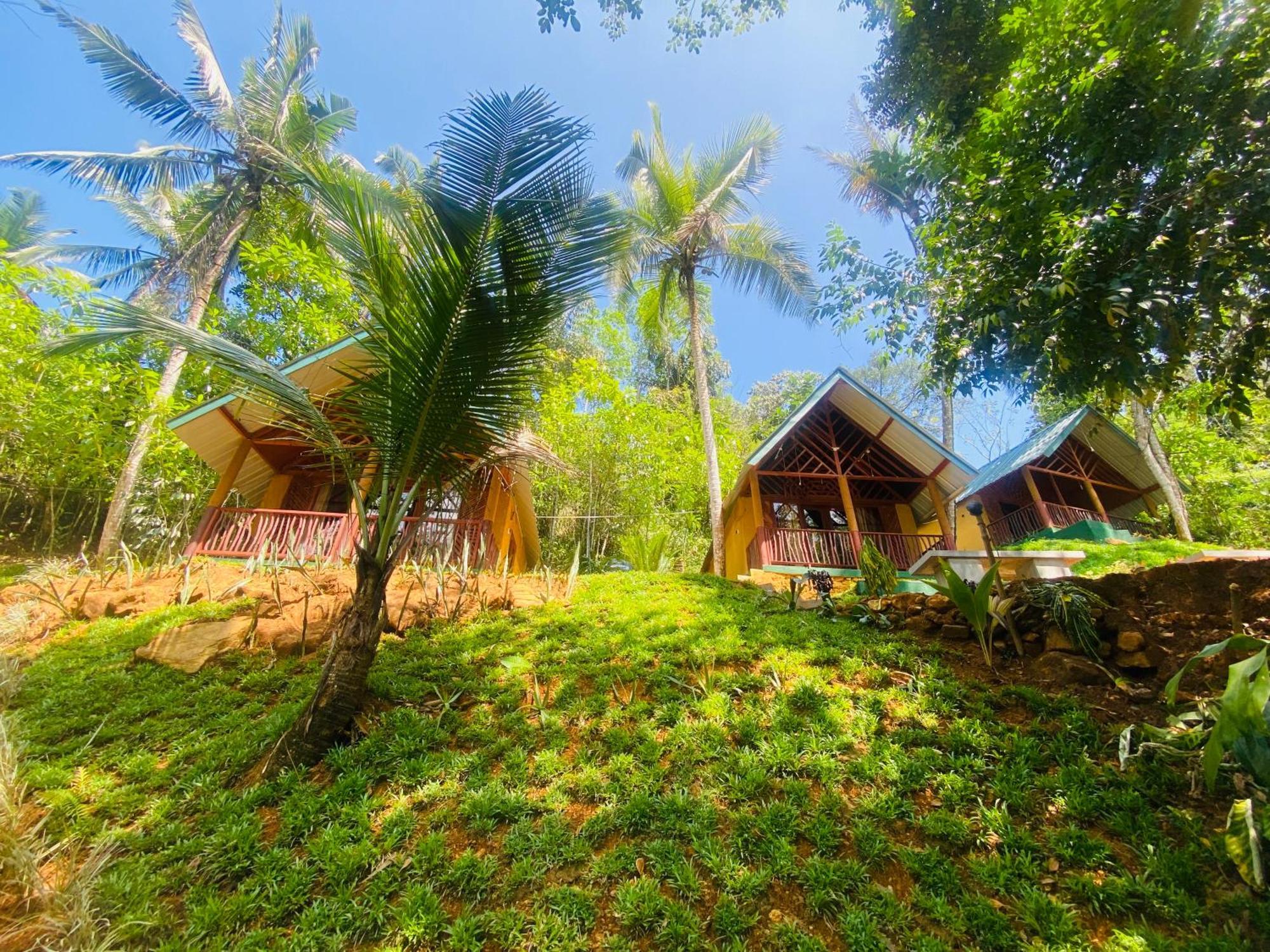 The Rainforest Hideaway Деніяя Екстер'єр фото