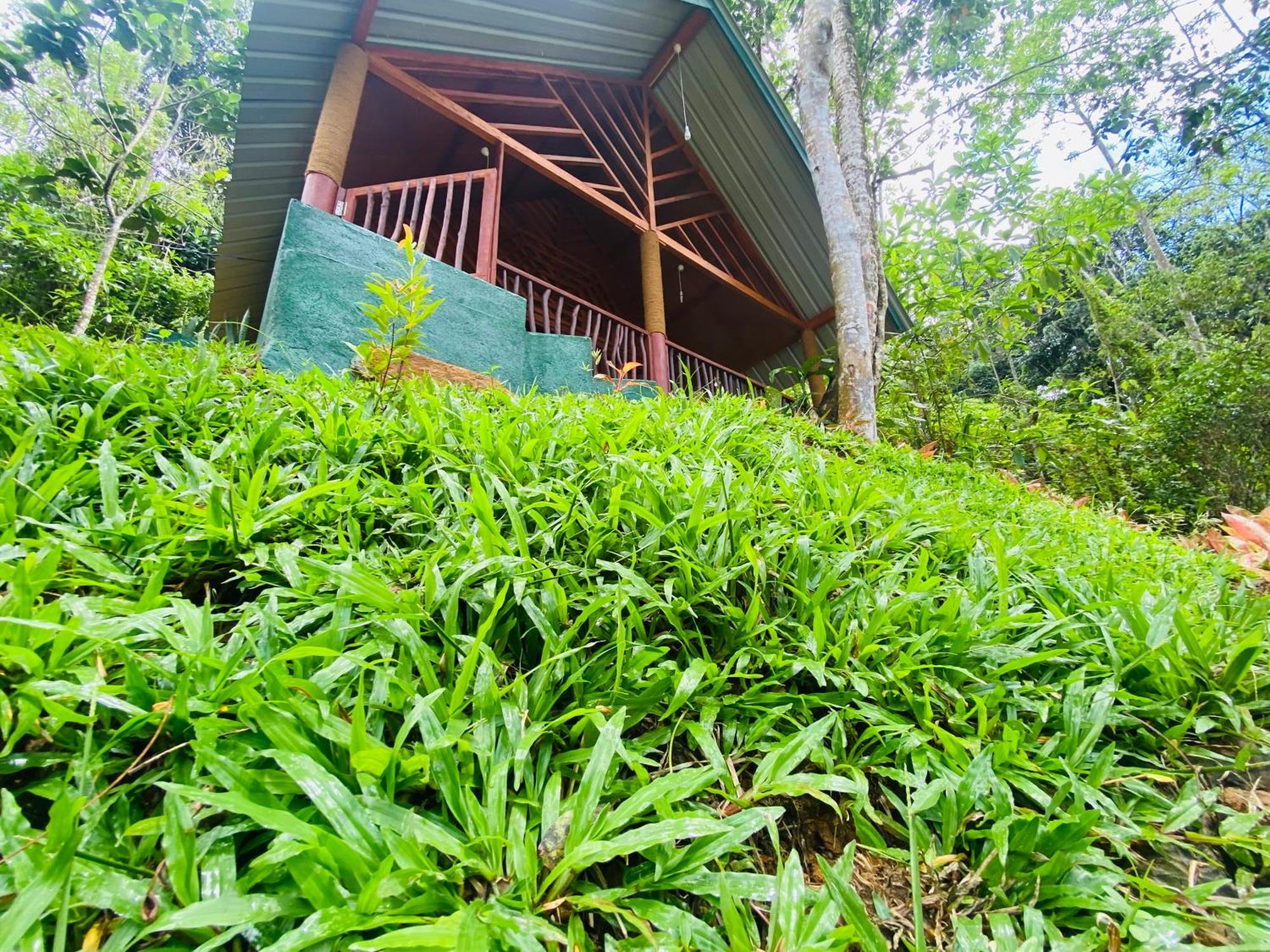 The Rainforest Hideaway Деніяя Екстер'єр фото