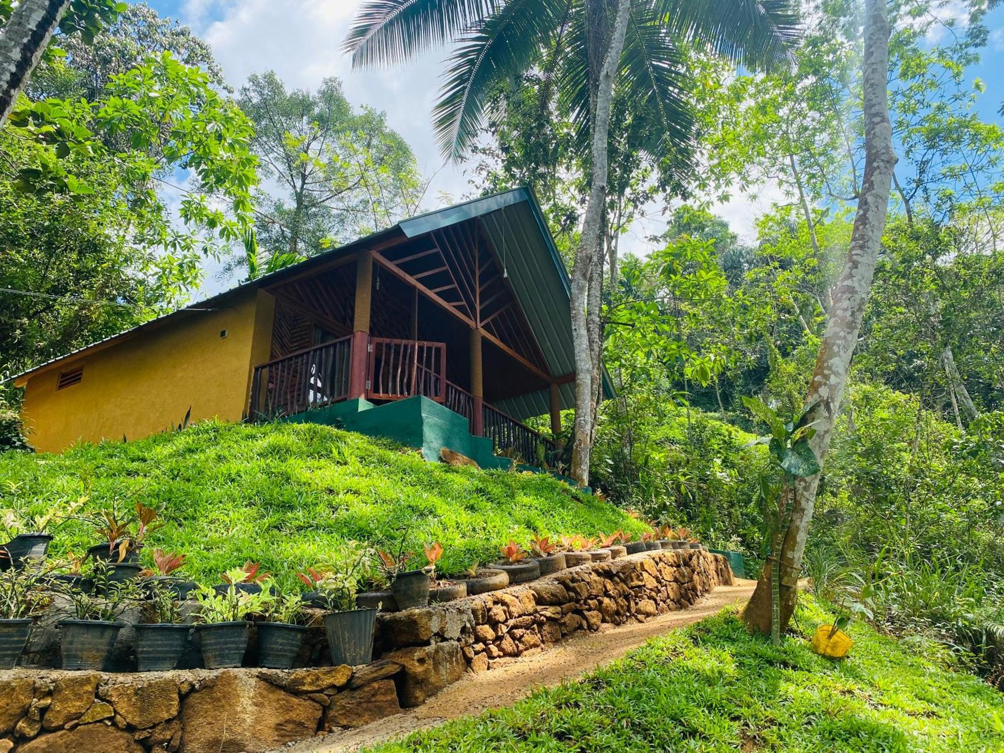 The Rainforest Hideaway Деніяя Екстер'єр фото